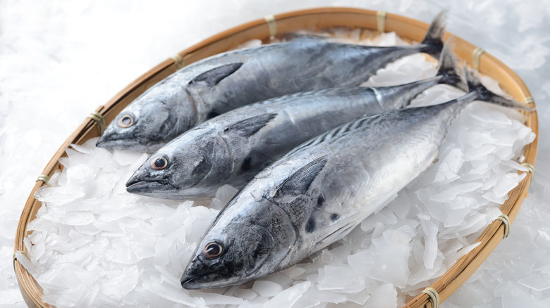 Three bonito tuna on ice in a bamboo basket
