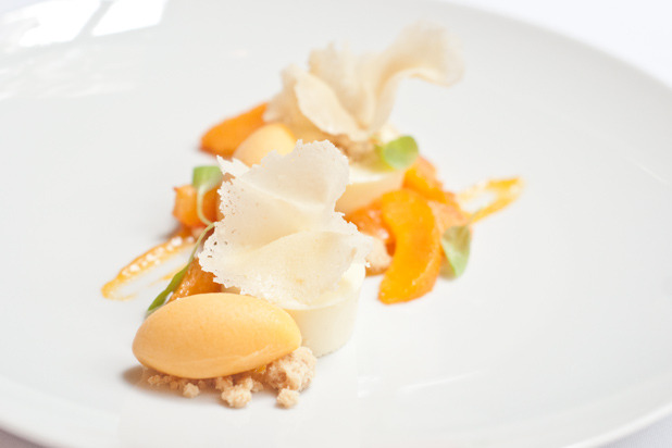 Roasted Frog Hollow Farm Apricots