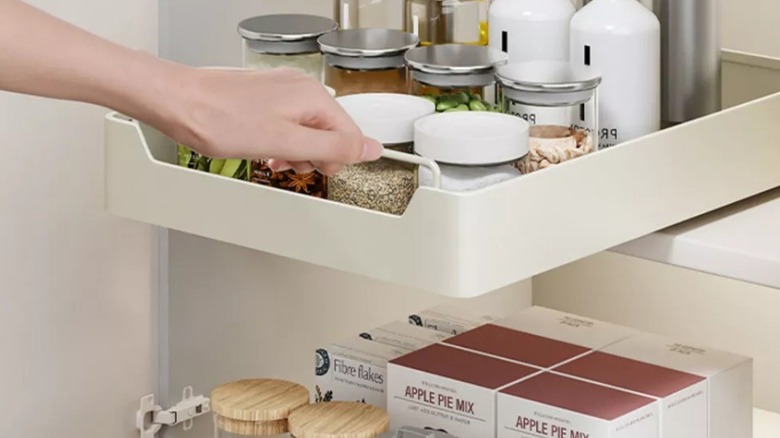 Target pull out organizer