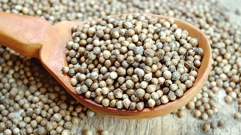 Close up of coriander seeds in a wooden spoon