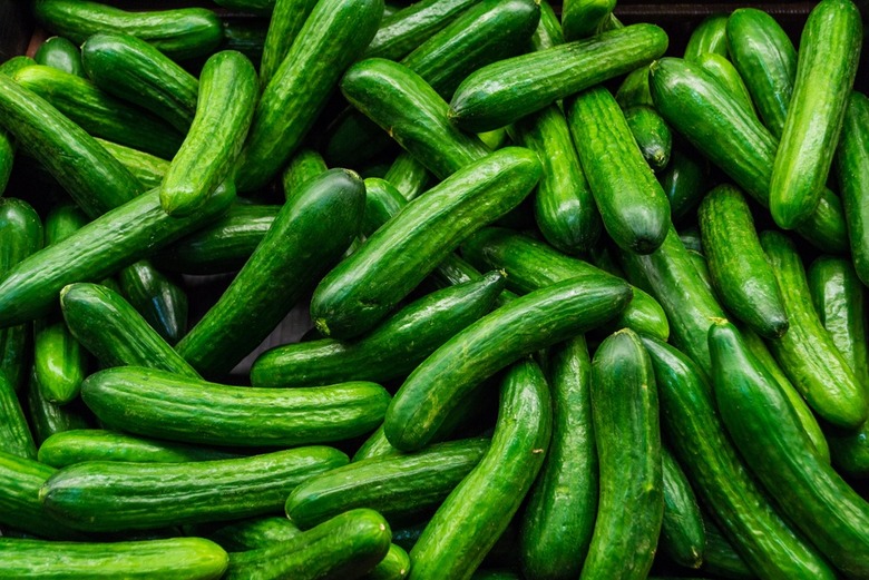 Texas Confirms Second Death from Tainted Cucumbers in Salmonella Outbreak