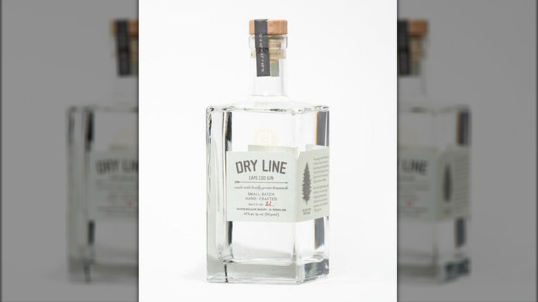 Bottle of Dry Line Gin