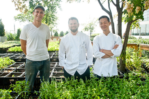 See What Farm to Table Looks Like in New York City