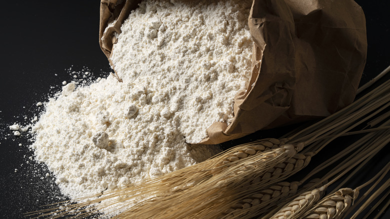 opened flour bag with wheat