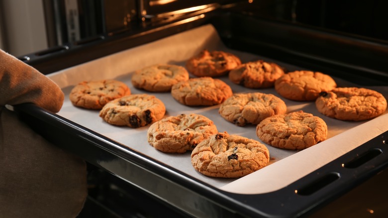 Person putting pan of cookies from oven