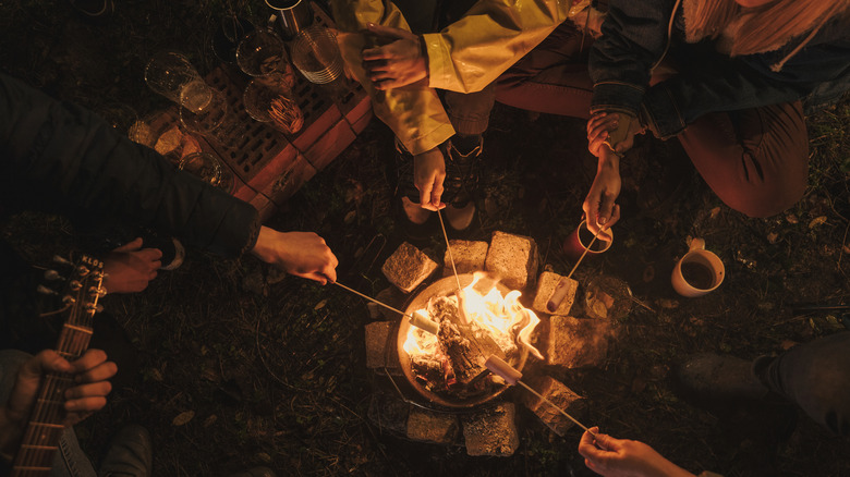 people roasting marshmallows around a fire