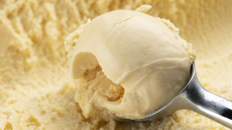 vanilla ice cream in a scoop