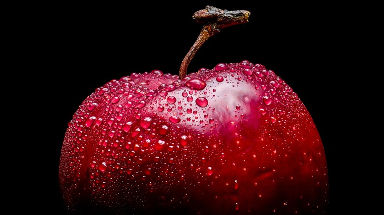 Close up of a red apple