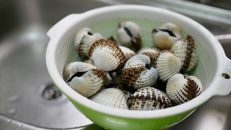 Strainer with fresh clams clams by a sink