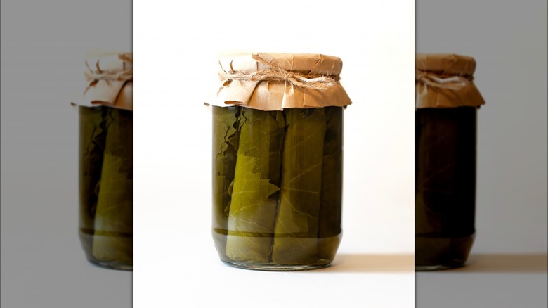 Dolmas canned in a jar
