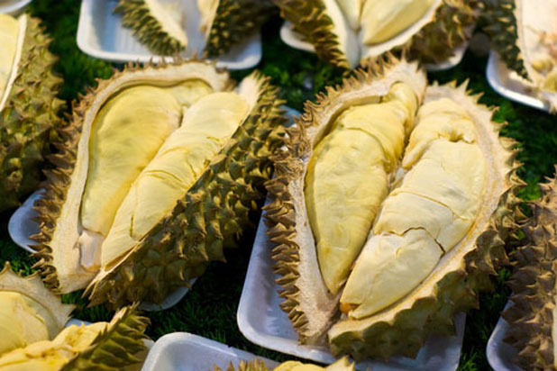 Durian Fruit