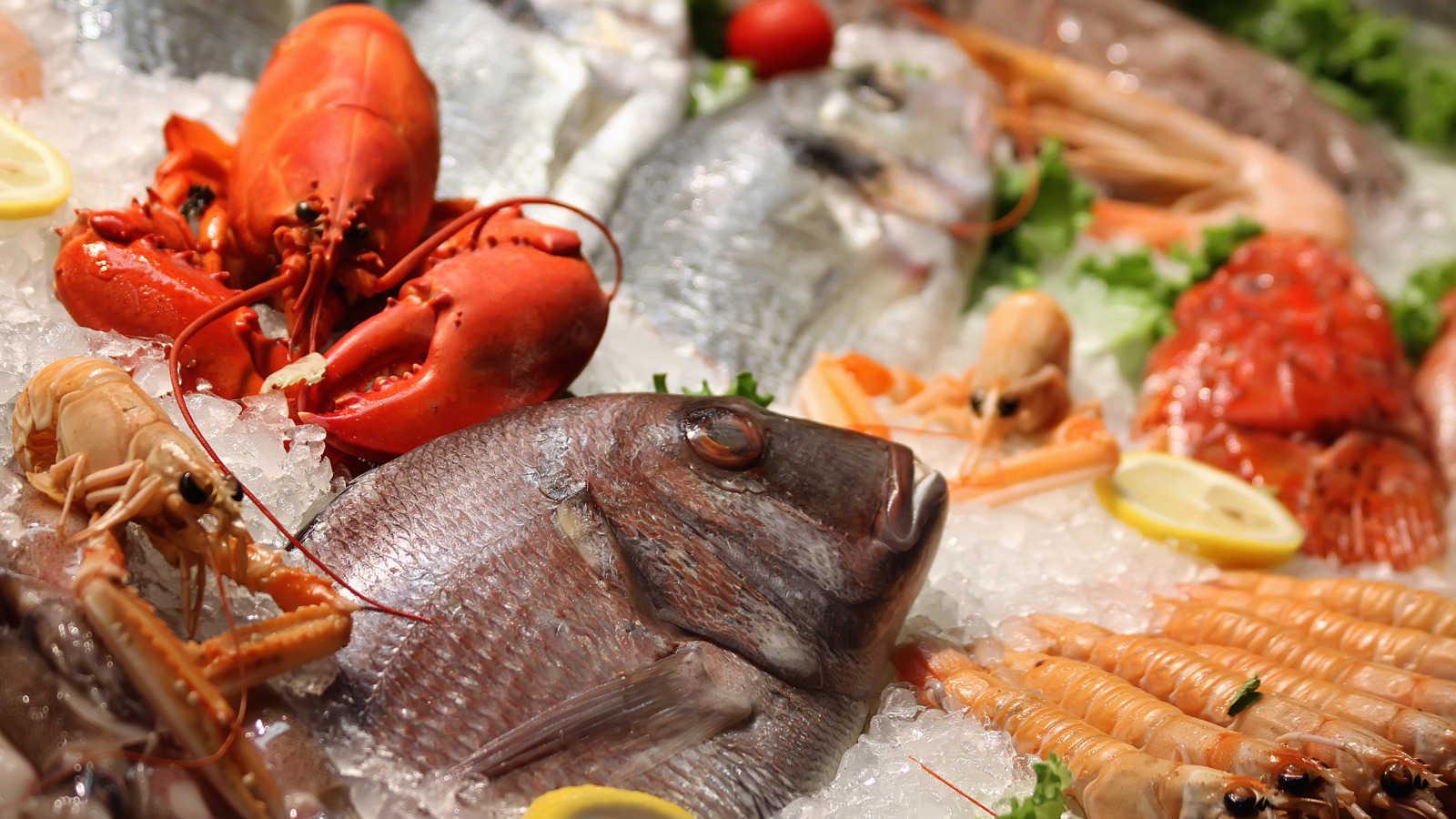 Sip On Your Favorite Seafood With The Help Of Infused Liquor - Vimarsana News