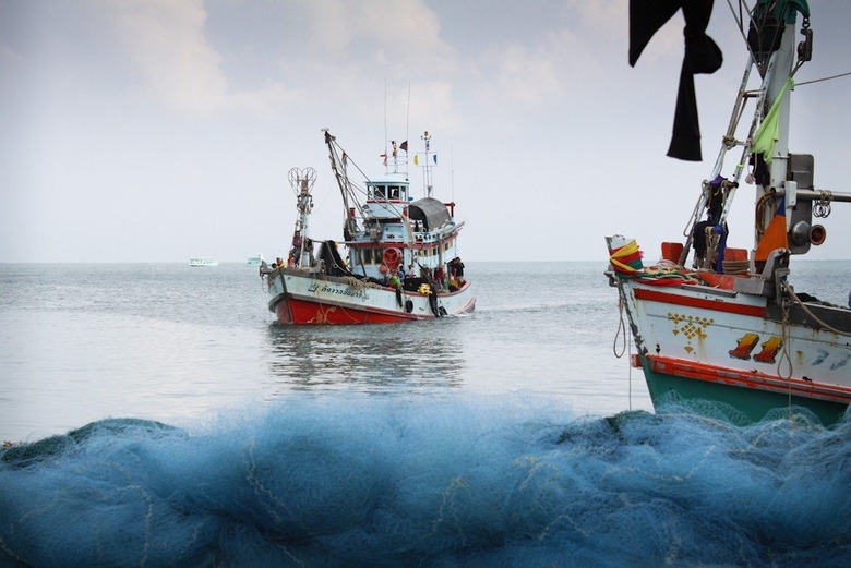 Slave Labor-Dependent Seafood Officially Banned by US Congress 