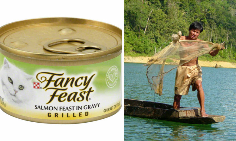 Pictured: A can of fancy feast next to a Thai fisherman.