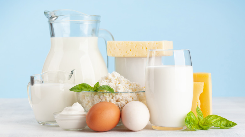 assorted dairy products