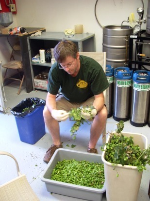 Worth Brewing, Northwood, Iowa