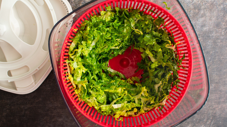 A salad spinner with leafy greens in it
