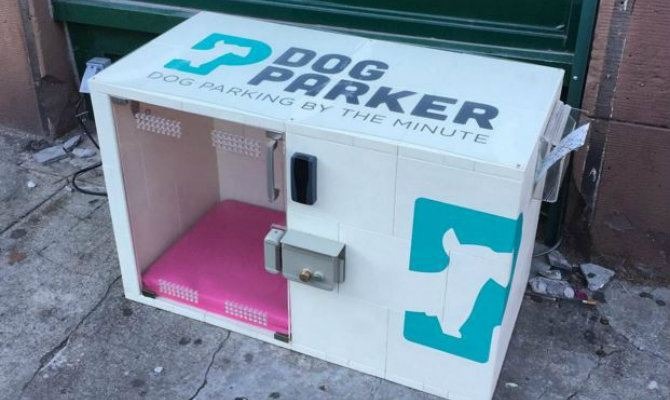 dog parker box
