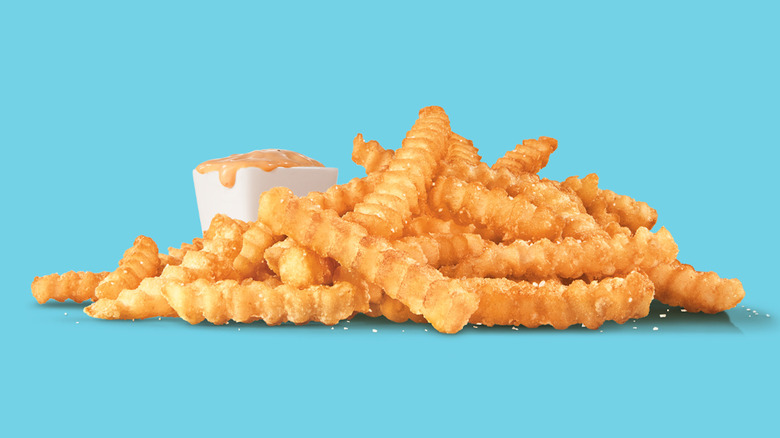 Sonic groovy fries on teal background