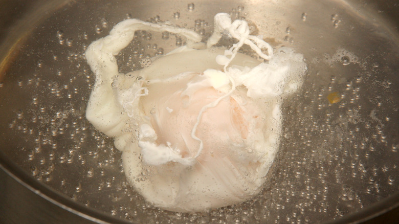Egg poaching in water