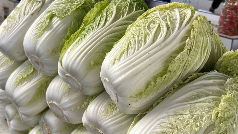 Pile of Napa cabbage