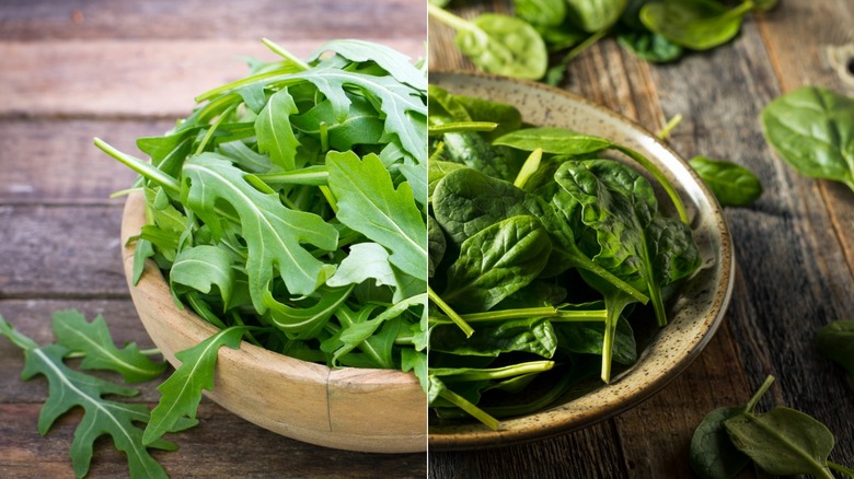 side by side, half bowl each of arugula and spinach
