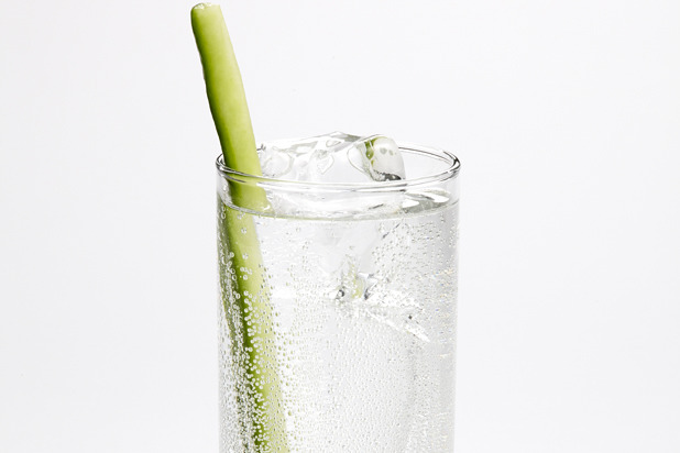 St. Patty's Day Spruce