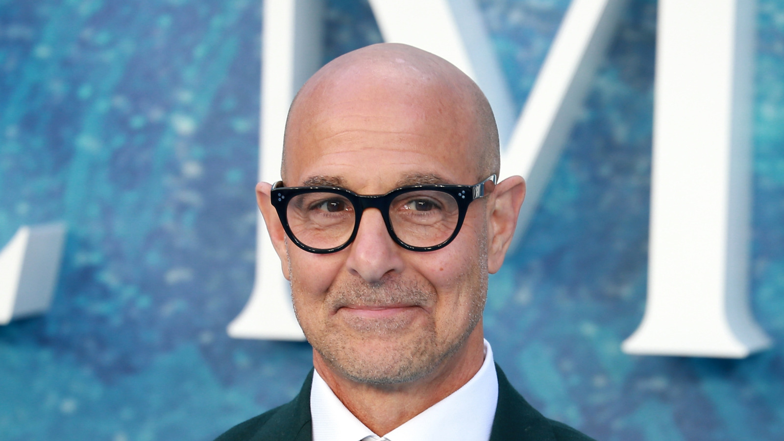 are stanley and michael tucci related