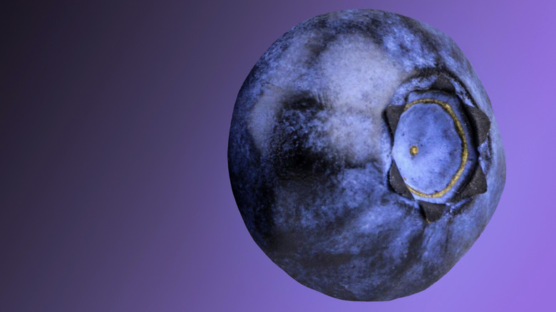Large blueberry isolated against a purple background
