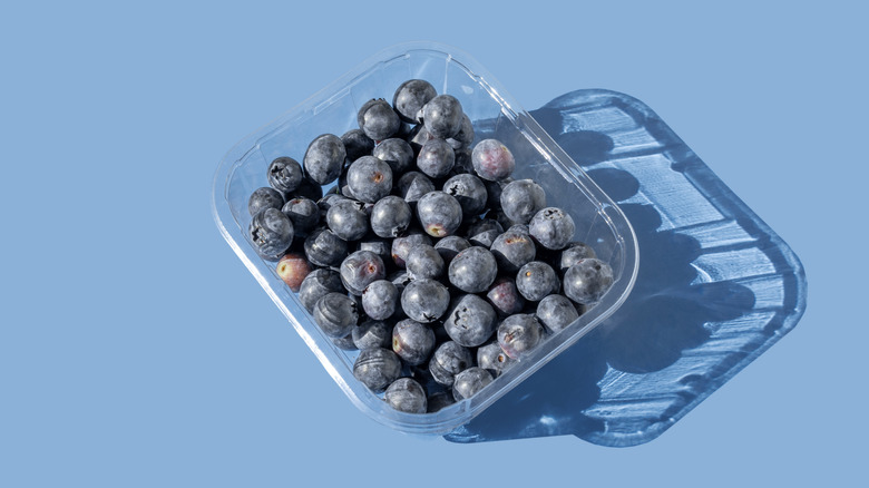 A container of blueberries isolated against a light blue background