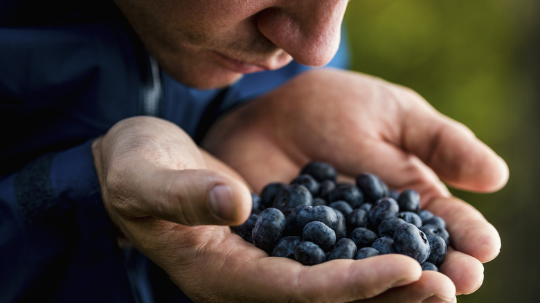 A person smells blueberries in their hands