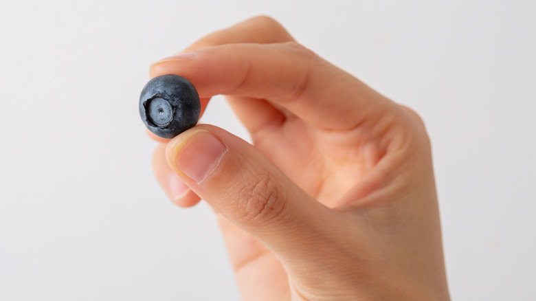 A person holding up a blueberry as if to check it