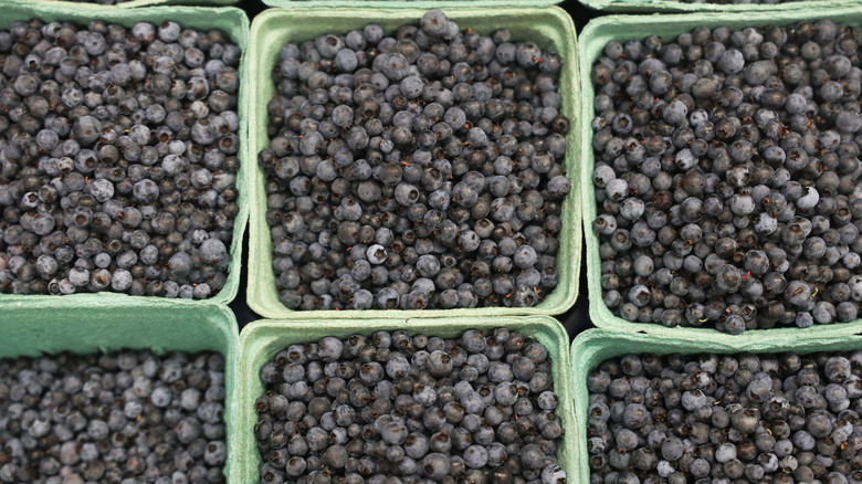 Fresh blueberries packed in containers