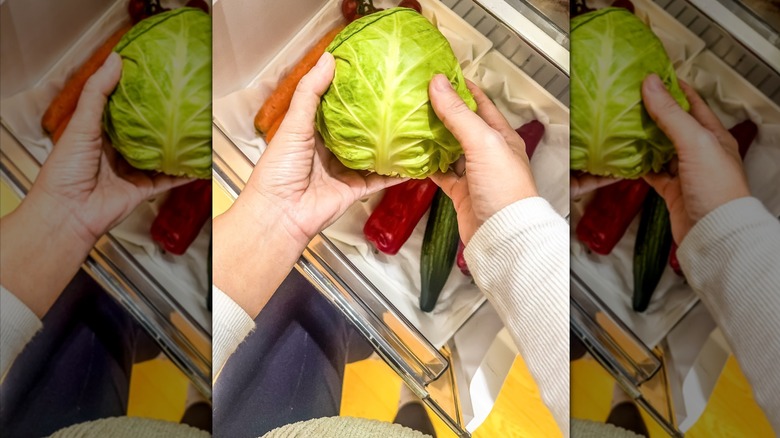 Kitchen towel in bottom of fridge drawer with person placing lettuce inside