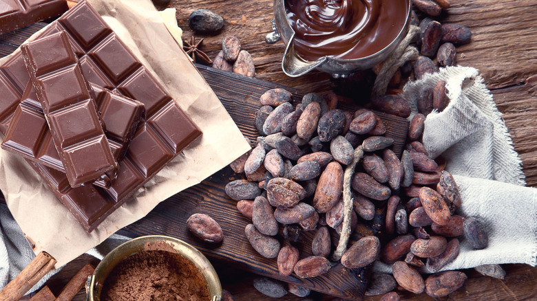 Table with chocolate bars, cacao butter, cacao beans and cocoa powder
