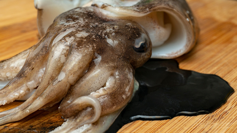 Squid with fresh ink on a wooden board