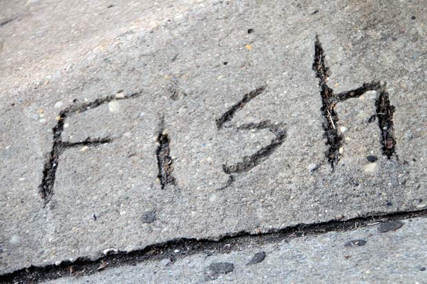 ARTHUR BOVINO, Executive Editor