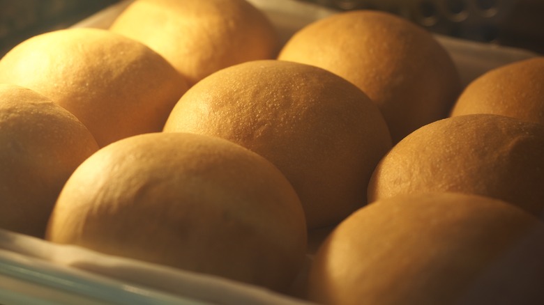 rolls browning in oven