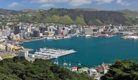 Sunny Wine Adventures at Cloudy Bay