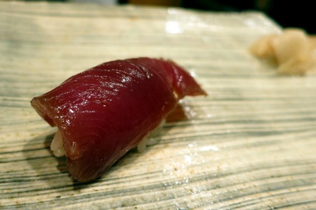 Bonito from Kanesaka