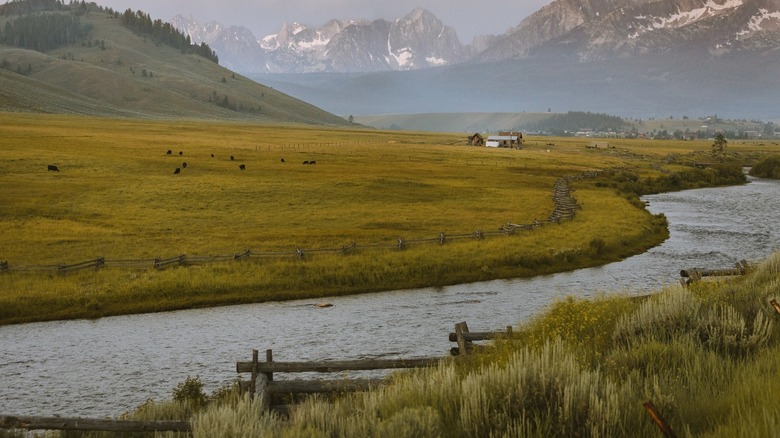 salmon river in Idaho