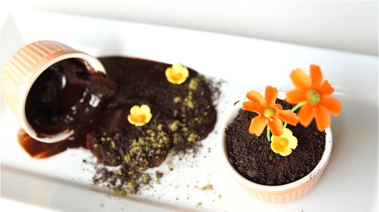 Dirt putting with flowers 