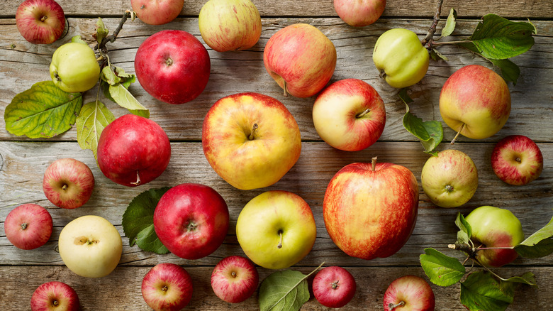 Apple varieties on wood background