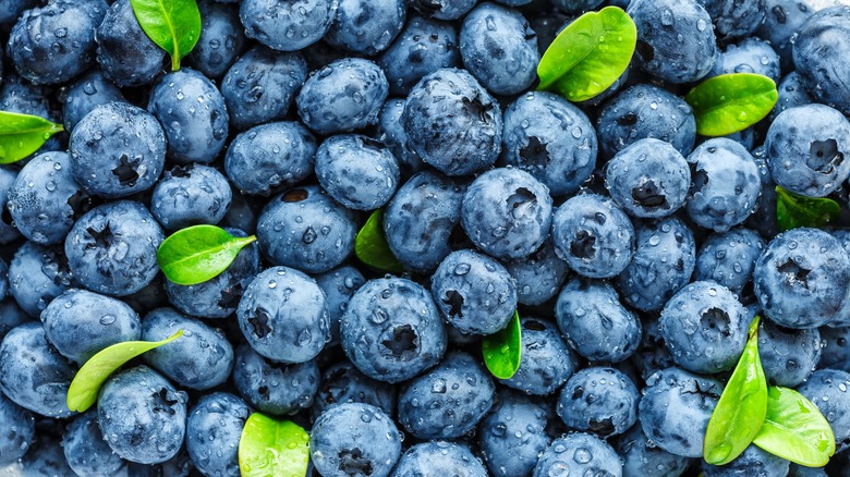 Close-up of many fresh blueberries