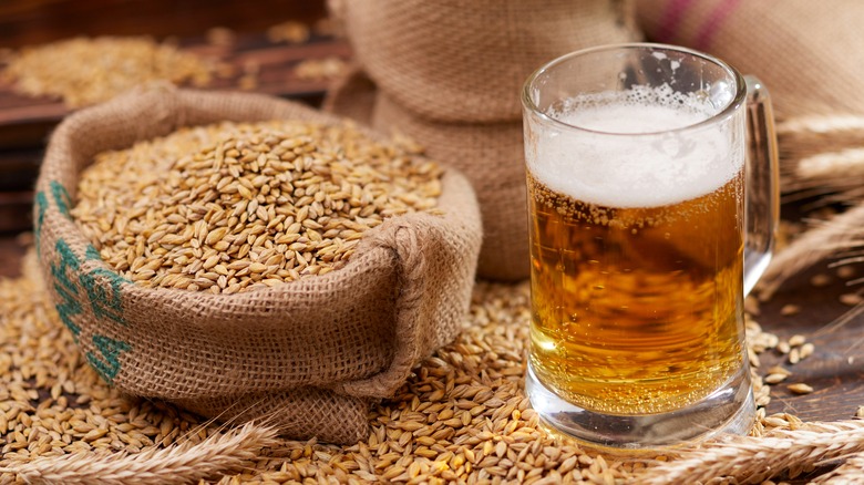 Wheat and glass of beer
