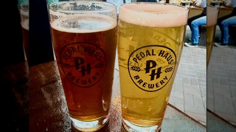 Close-up of two pints of beer side-by-side in Pedal Haus Brewery glasses