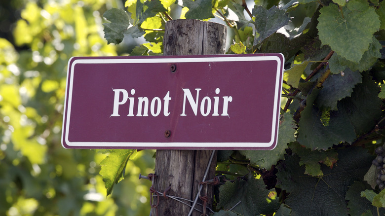 Pinot noir sign 