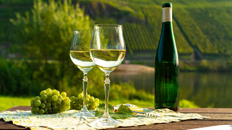 Two glasses of wine at a vineyard 