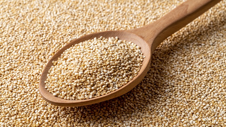 white quinoa in wooden spoon