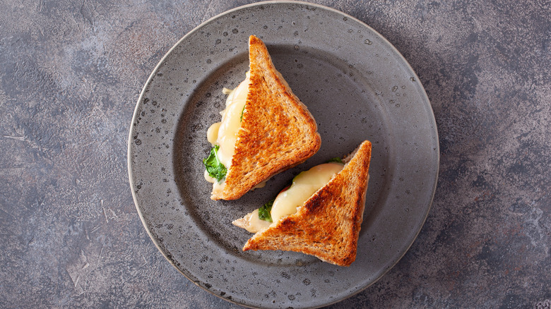 Grilled cheese sandwich on grey plate
